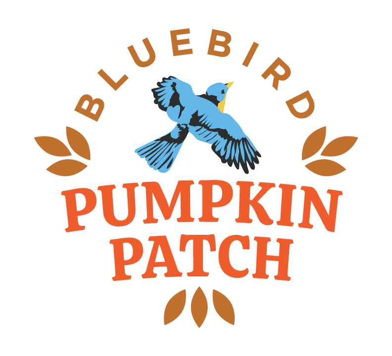 Bluebird Pumpkin Patch